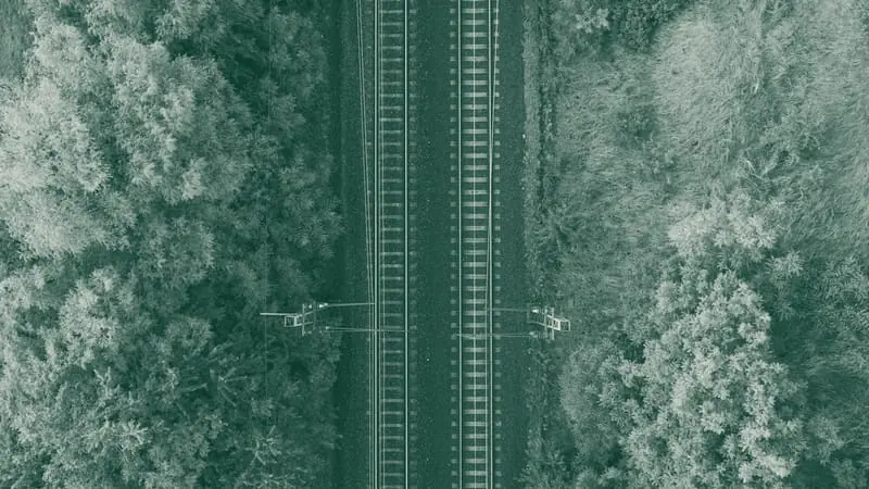 A rail line running through forest, seen from above